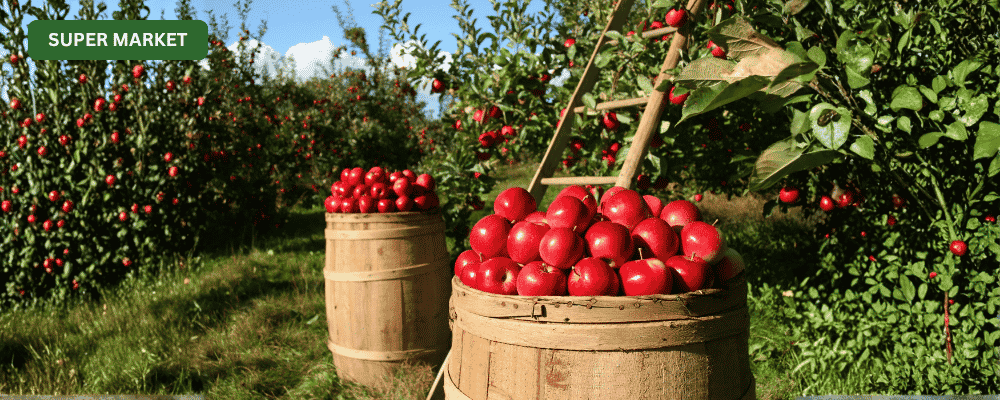 Apples